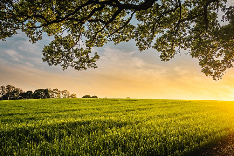 ANCPI: peste un milion de hectare, cadastrate in 2023