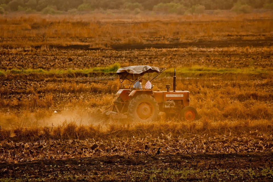Locuri de munca sezoniera in domeniul agricol in Spania