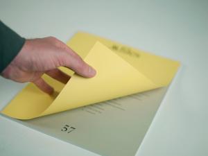 Companiile cu capital de stat NU trebuie sa mai faca achizitii auto doar de la RAAPPS