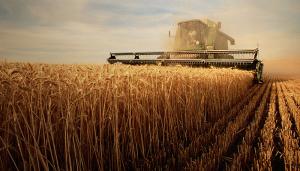 Agricultura a crescut cu 12,5% in 2017