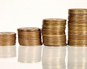 Alocatiile de hrana, plasament si sustinerea familiei vor fi platite in avans in luna decembrie