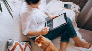 Rata anuala a inflatiei in luna ianuarie 2023 a ajuns la 15,1%