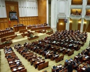 Guvernul pregateste, pentru vacanta parlamentara, o ordonanta de diminuare a datoriilor din aparare