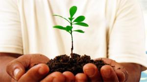 Managementul deseurilor ridica probleme serioase la nivel national