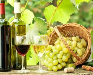 Institutiile publice ar putea accesa fonduri europene de 50 milioane de euro pentru promovarea vinurilor